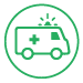 Lornit - Fleet Health icon