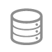 Icon Data